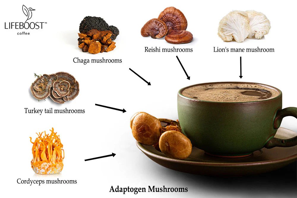 Mushroom coffee nutrition facts